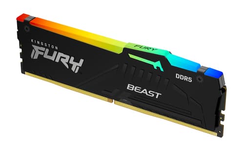 Kingston FURY Beast RGB - DDR5 - module - 16 GB - DIMM 288-pin - 6000 MT/s / PC5-48000 - CL36 - 1.35 V - unbuffered - on-die ECC - black