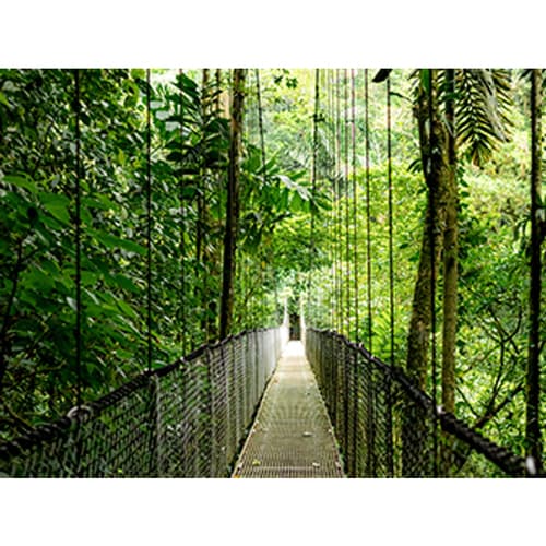 HP EliteBook 6 G1ah Notebook - 14" - AMD Ryzen 5 - 220 - 16 GB RAM - 512 GB SSD - UK