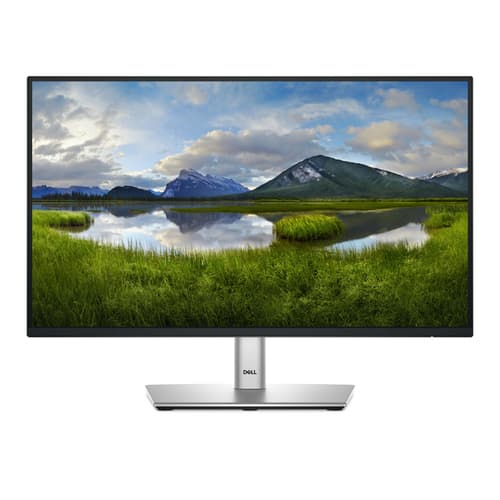 Dell P2225H
