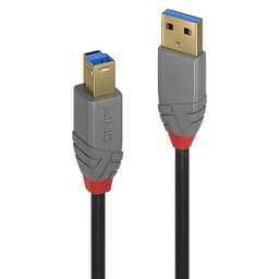 Lindy CABLES