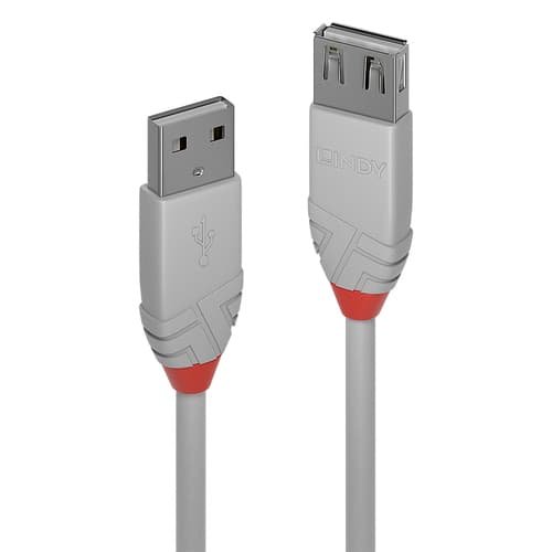 Lindy CABLES