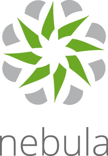 Zyxel Nebula Professional Pack - Subscription licence (1 year) - 1 device