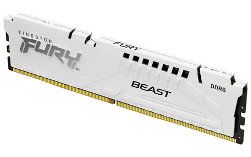 Kingston FURY Beast - DDR5 - module - 32 GB - DIMM 288-pin - 6000 MT/s / PC5-48000 - CL36 - 1.35 V - unbuffered - on-die ECC - white
