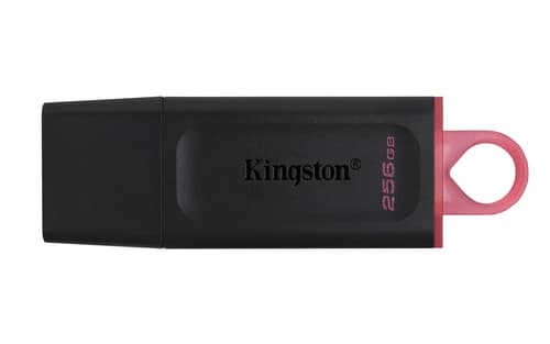 Kingston DataTraveler Exodia - USB flash drive - 256 GB - USB 3.2 Gen 1 - black/pink