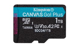 Kingston Canvas Go! Plus - Flash memory card - 1 TB - A2 / Video Class V30 / UHS-I U3 / Class10 - microSDXC UHS-I