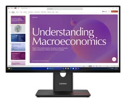 ThinkVision T24D-40 23.8 inch Monitor