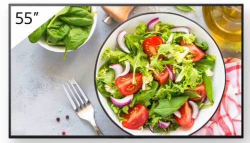 Sony Bravia Professional Displays FW-55BZ35L - 55" Diagonal Class BZ35L Series LED-backlit LCD display - digital signage - Android TV - 4K UHD (2160p) 3840 x 2160 - HDR - Direct LED