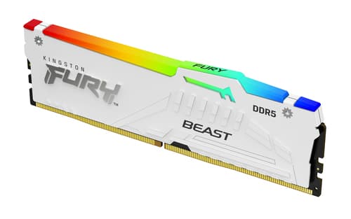 Kingston FURY Beast RGB - DDR5 - module - 32 GB - DIMM 288-pin - 5600 MT/s / PC5-44800 - CL36 - 1.25 V - unbuffered - on-die ECC - white