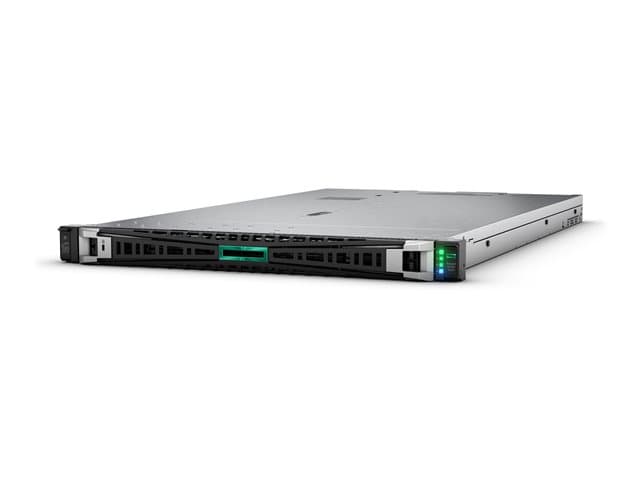 HPE Smart Choice DL360 G11 4510 64G 8SFF MR408i-o Svr