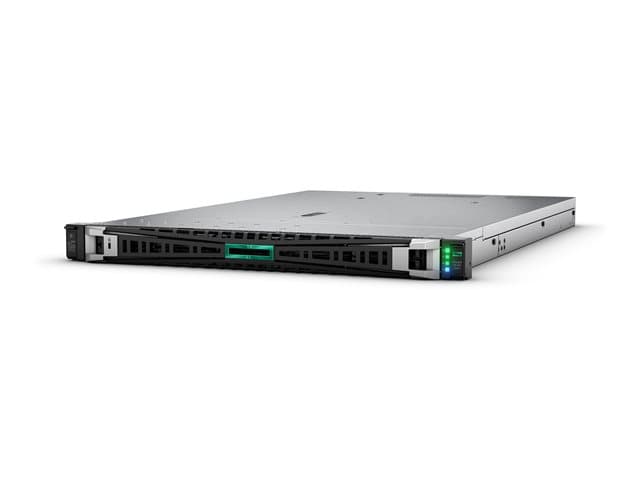 HPE Smart Choice DL325 G11 9124 64G 8SFF EU Svr